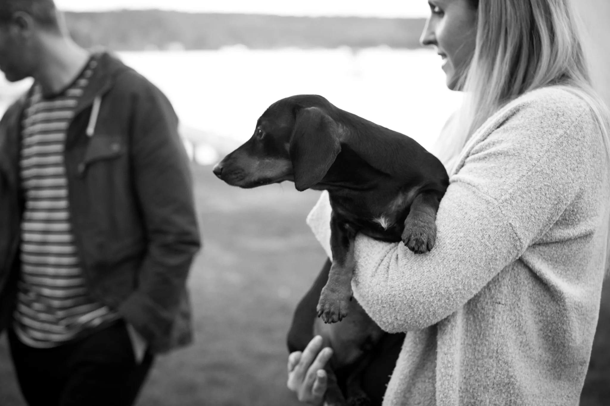 Sausage dog love