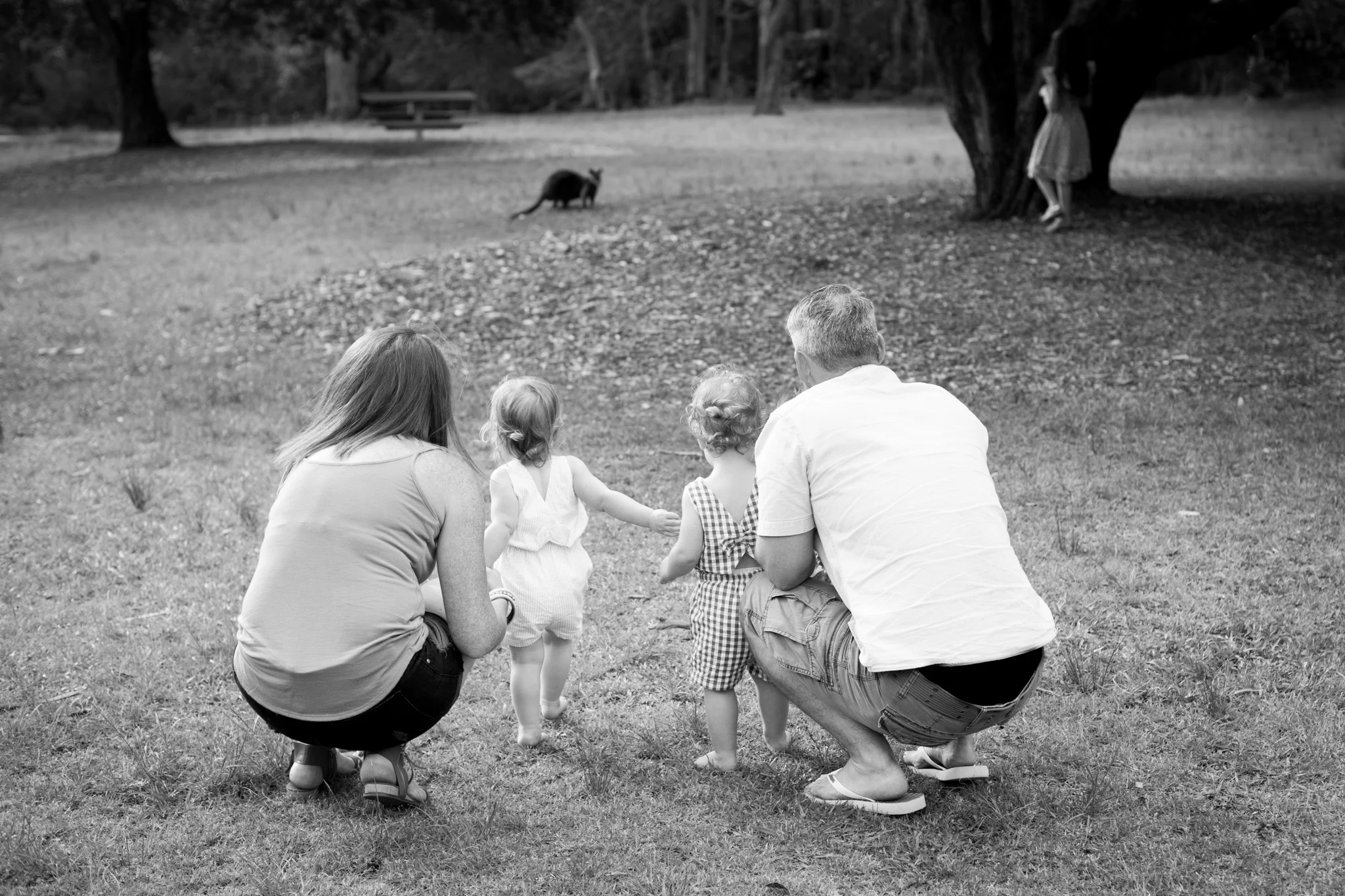 wallaby watching Kincumba Mountain
