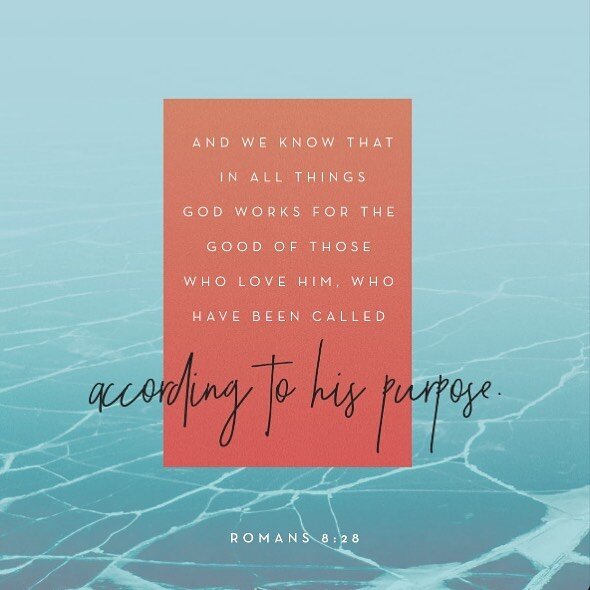 We love this verse that a member of our college group, Jaden Rich, picked as her favorite verse! We hope you feel encouraged by it as we move into the weekend! 

&ldquo;Romans 8:28 is one of my favorites not only because it&rsquo;s so comforting, but