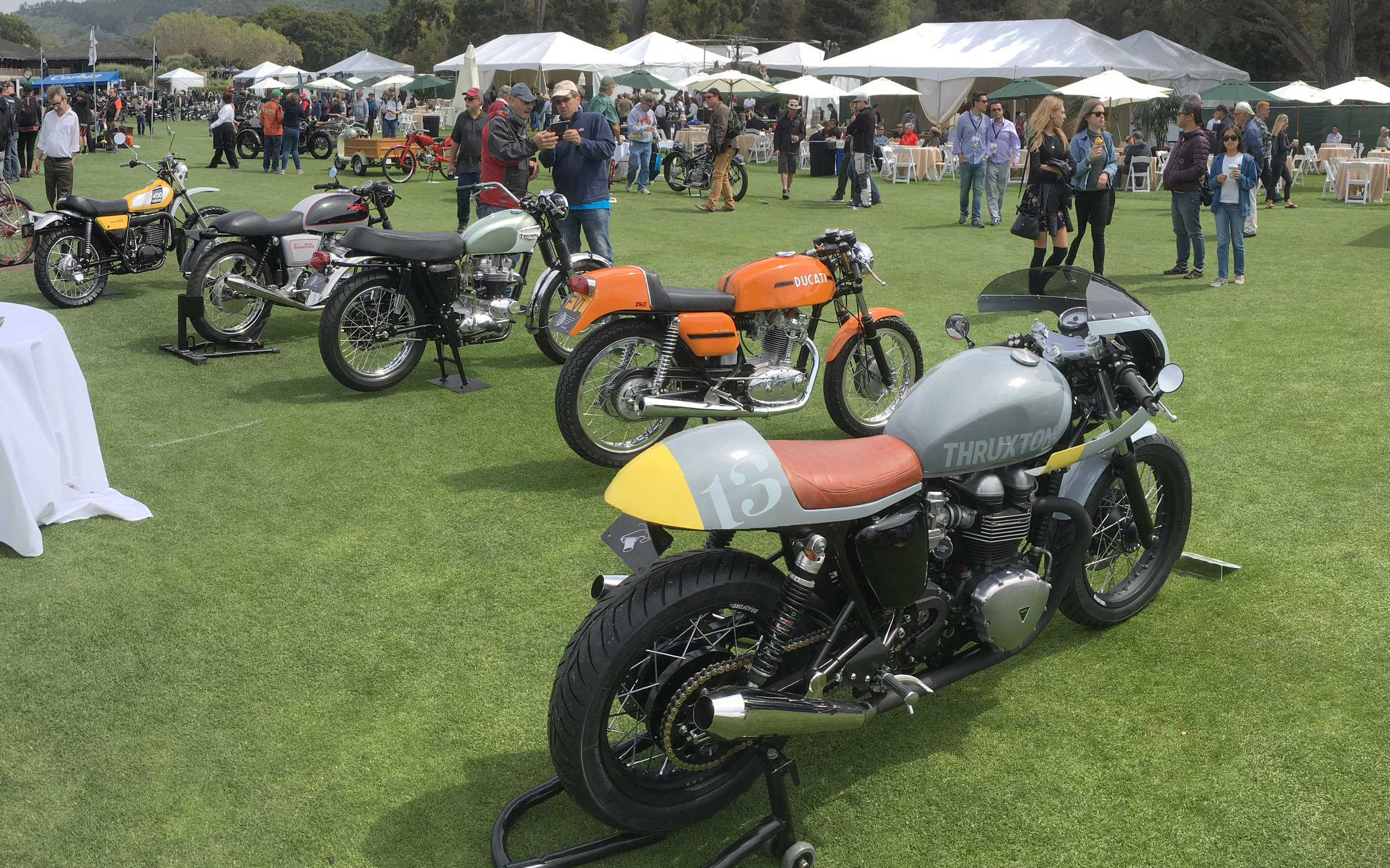 2013 Triumph Thruxton @ Quail