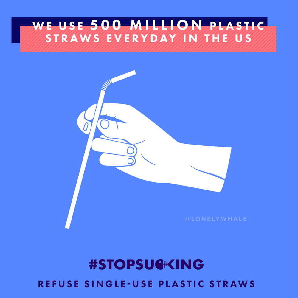 Cam ✨ on X: I am, so distraught over this. Please stop using plastic straws,  millions and millions of sea turtles are developing a coke problem  everyday. Save a life, use a