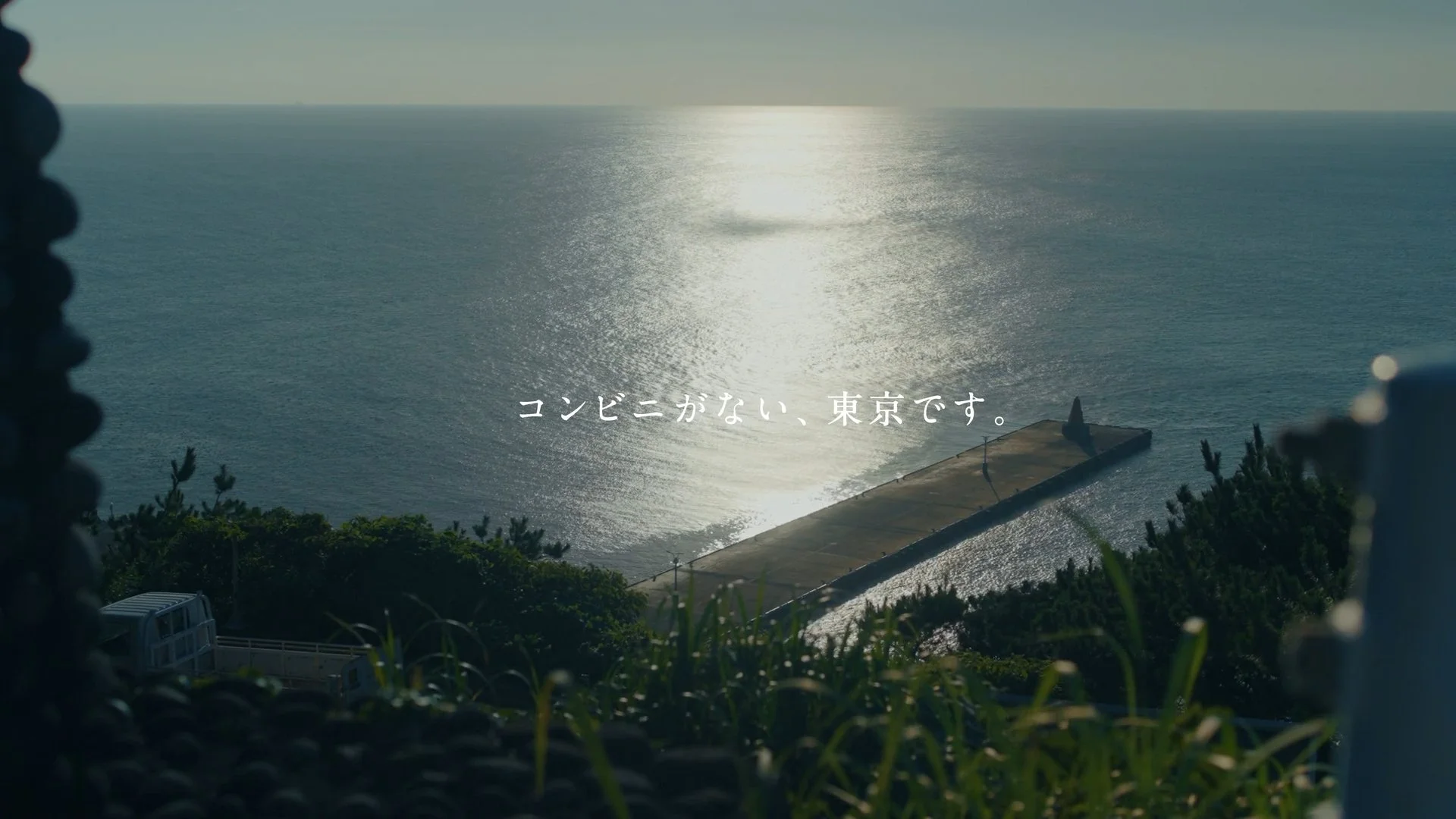 2025 意味がある島。みくら島。コンセプトムービー | 御蔵島 005.jpg