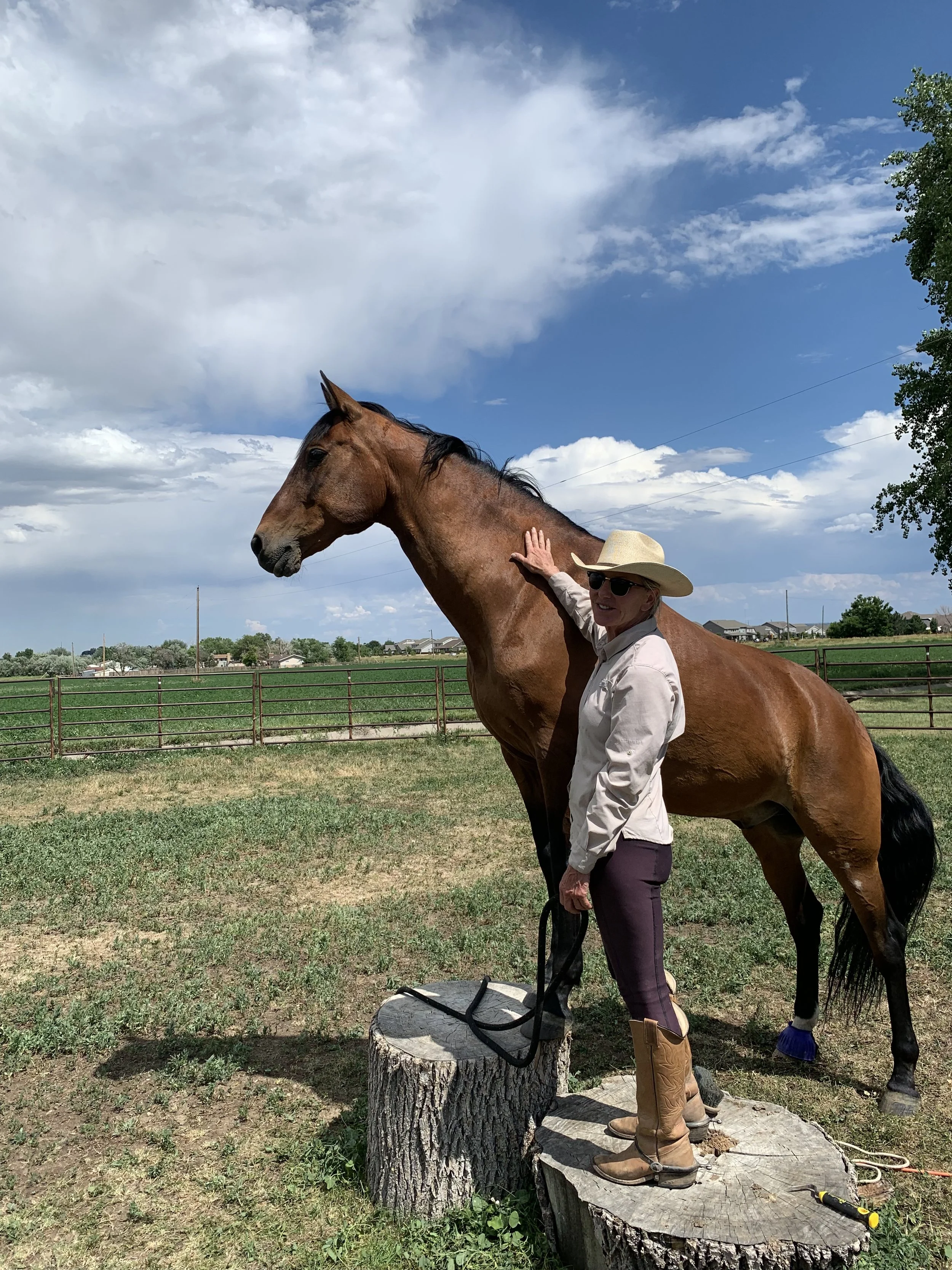 Why I partner with horses in my practice