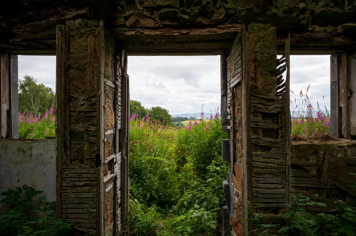 L1003199-1.jpg