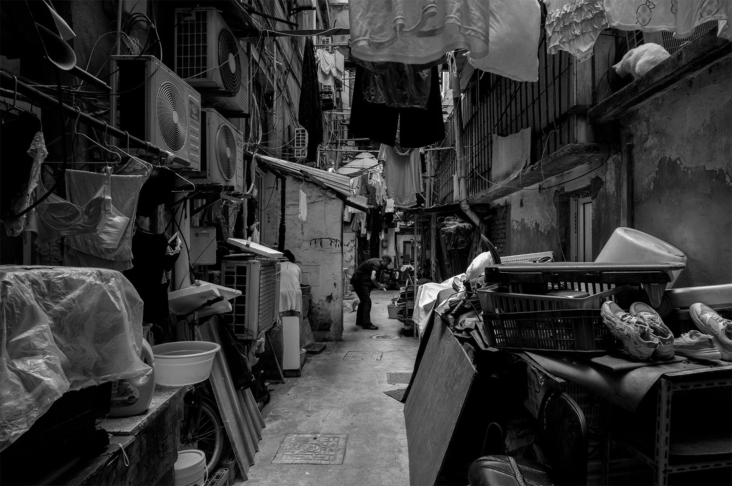   Shanghai, China   2025 - 26 