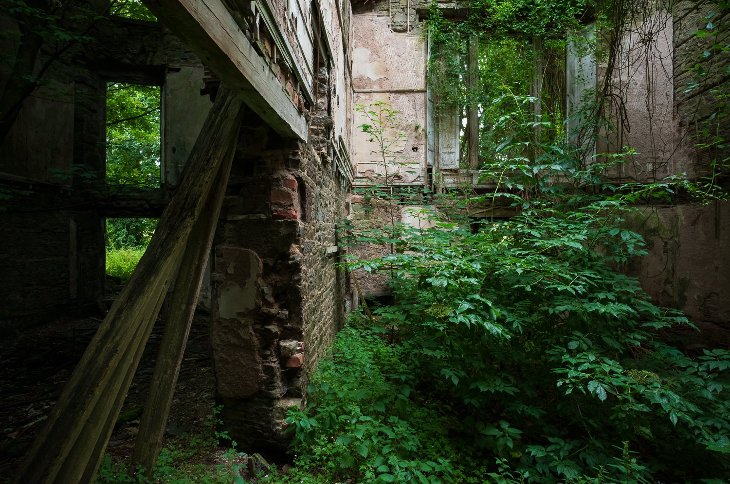 L1003257-1.jpg