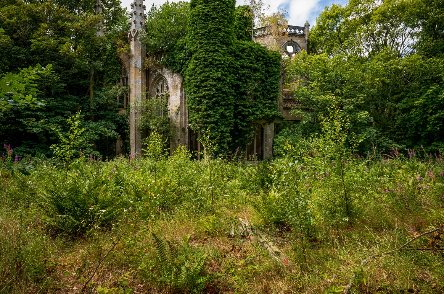 L1003368-1.jpg
