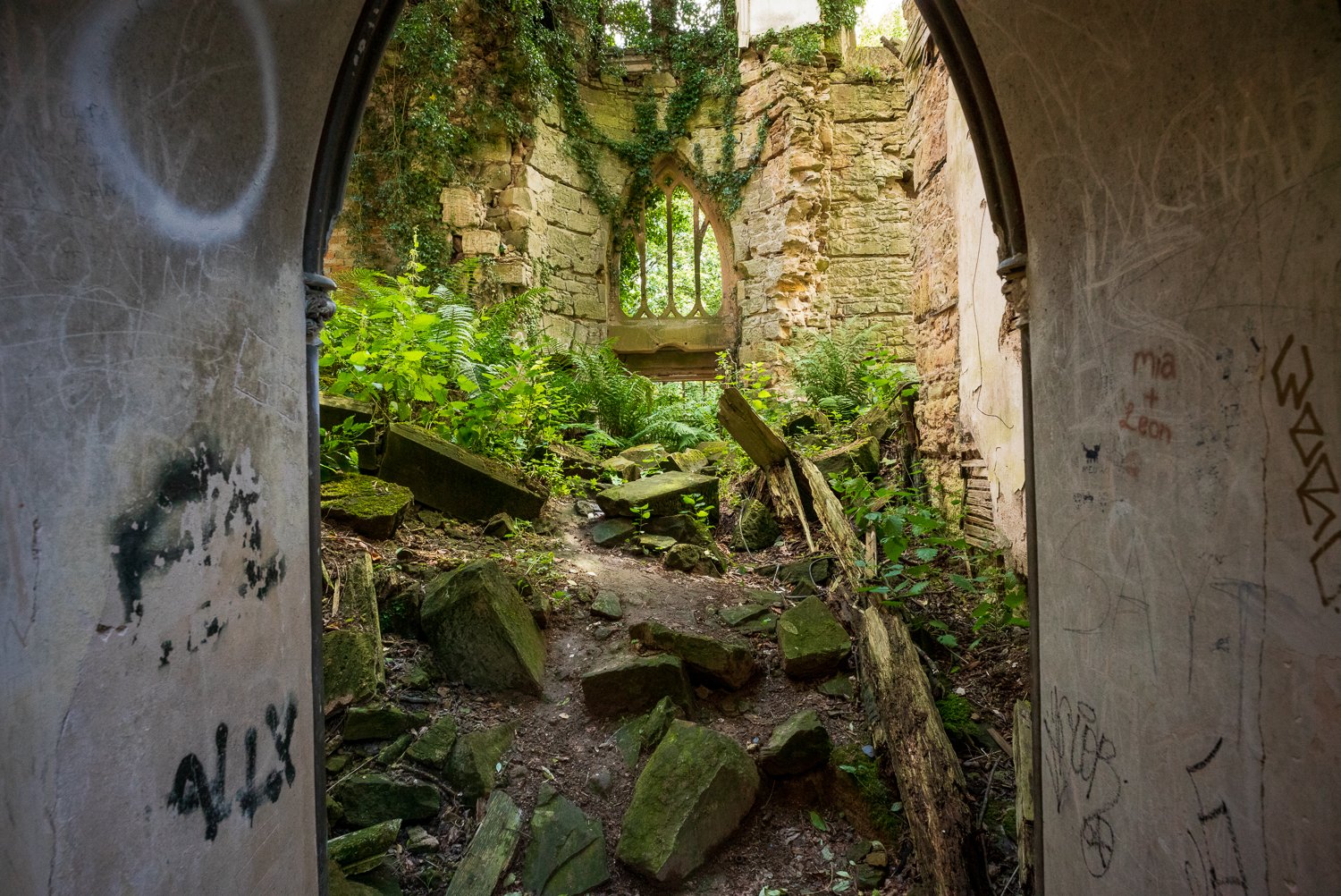 L1003385-1.jpg