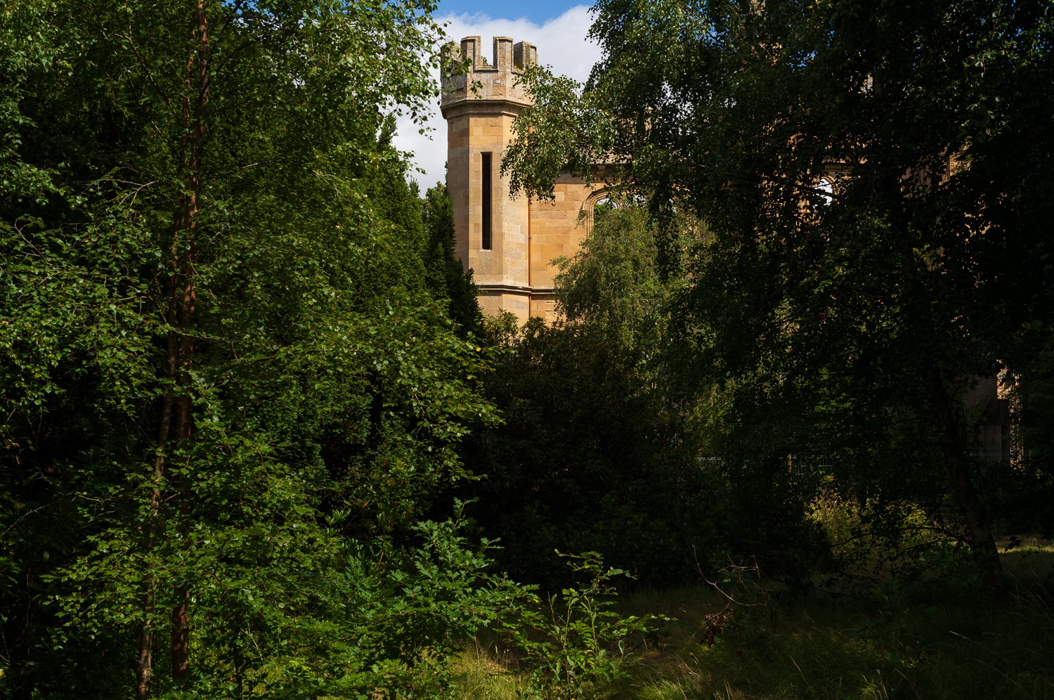L1003355-1.jpg