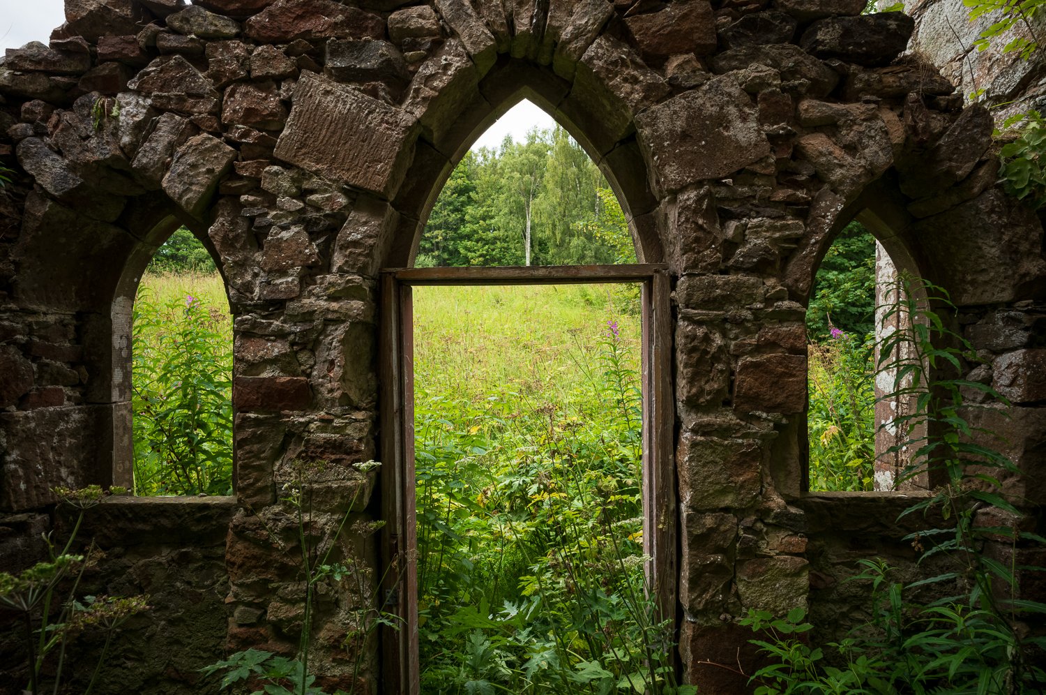 L1003204-1.jpg