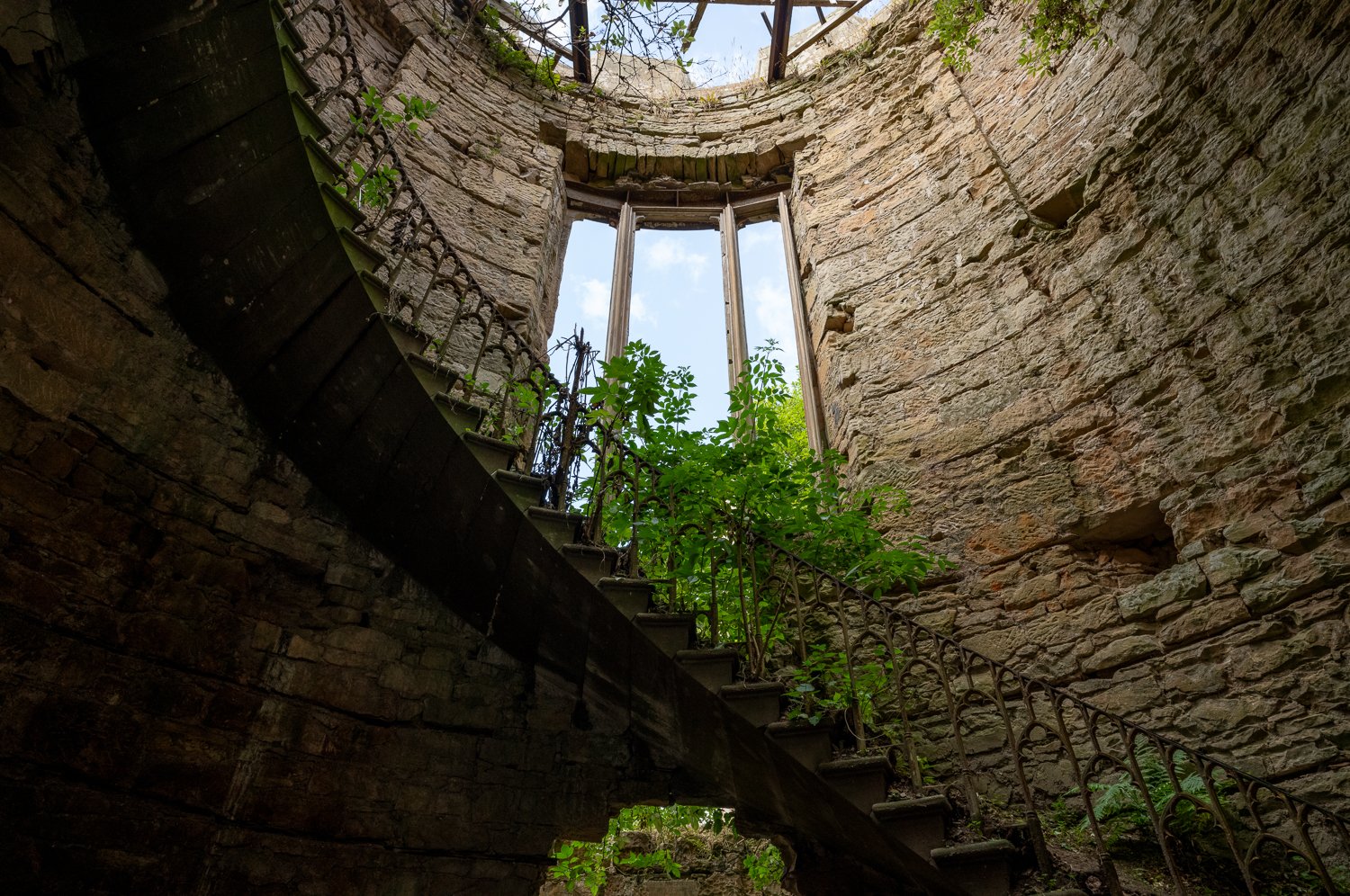 L1003389-1.jpg