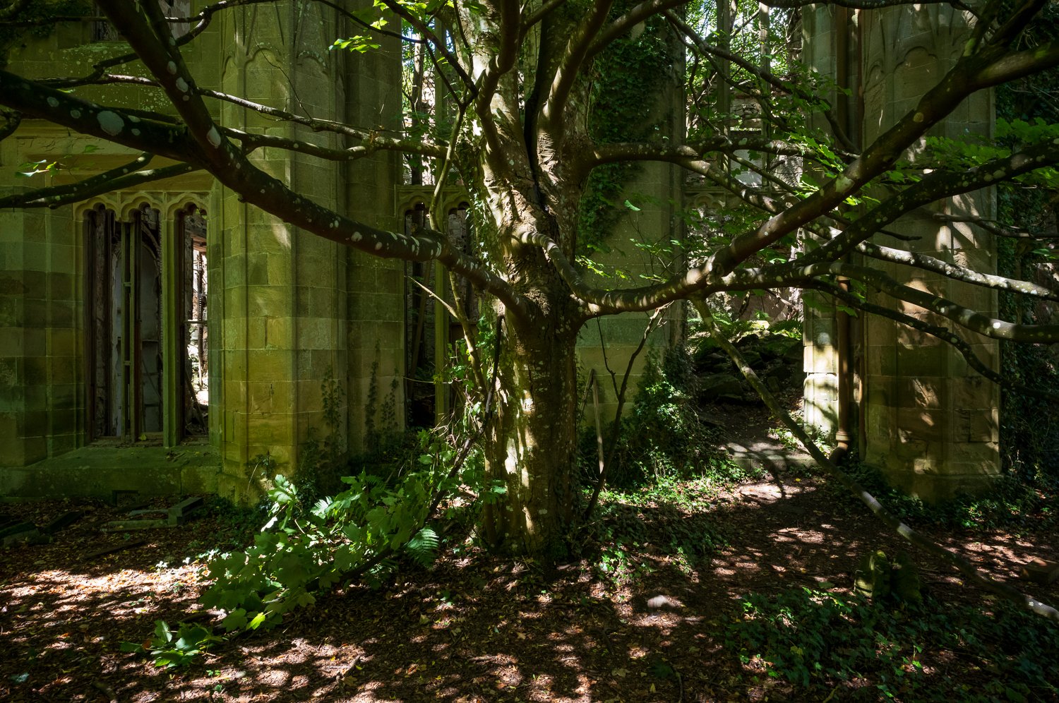 L1003423-1.jpg