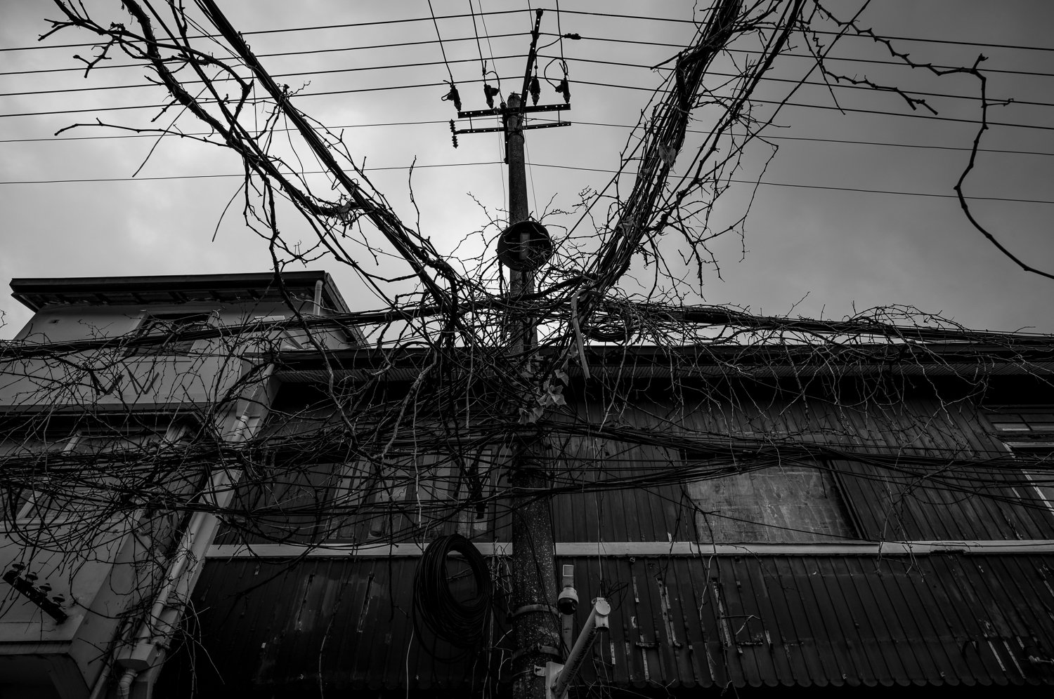 L1003532-1.jpg