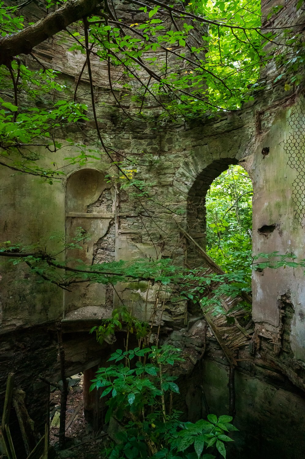 L1003283-1.jpg