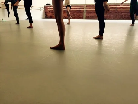 Embody: Muscle and Bone