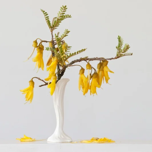 Kowahi speaks of new beginnings on a spiritual level - this beautiful image is by Photographer Emma Bass