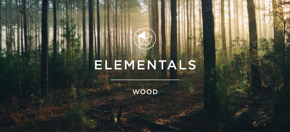 Elemental Alchemy - (Qi Gong + Energy Medicine Training) - WOOD