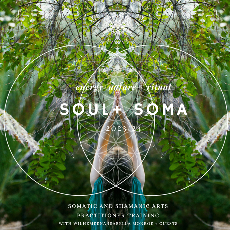 SOUL + SOMA  - INTRO IMMERSION 