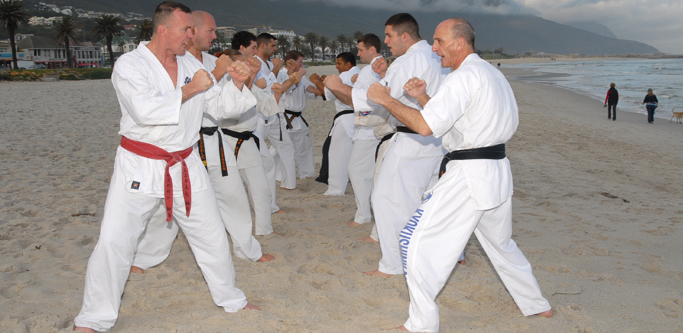 2008 Tri Nations Tournament (Cape Town, South Africa)