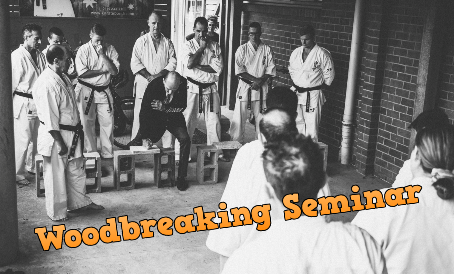 Tameshiwari (Wood-breaking) Workshop