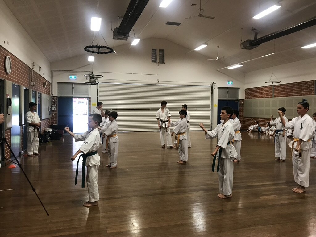 yellow belt kata.jpeg