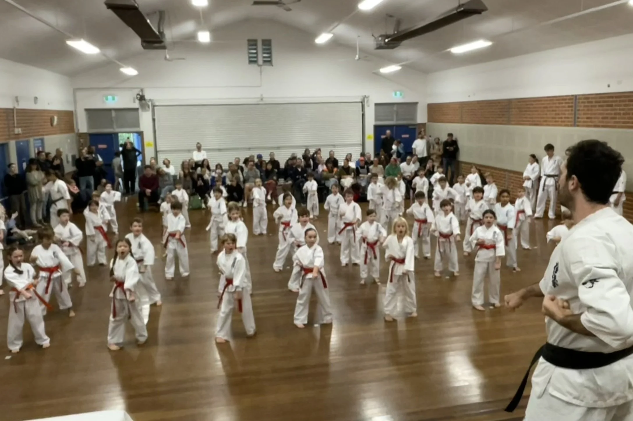 IMG_5317.JPEG