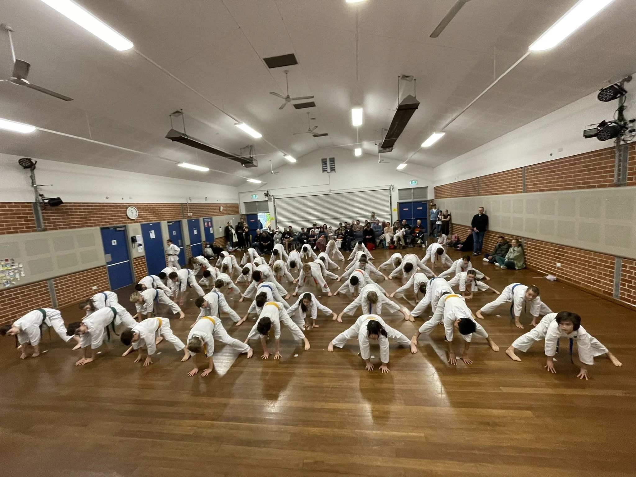 IMG_5368.JPEG