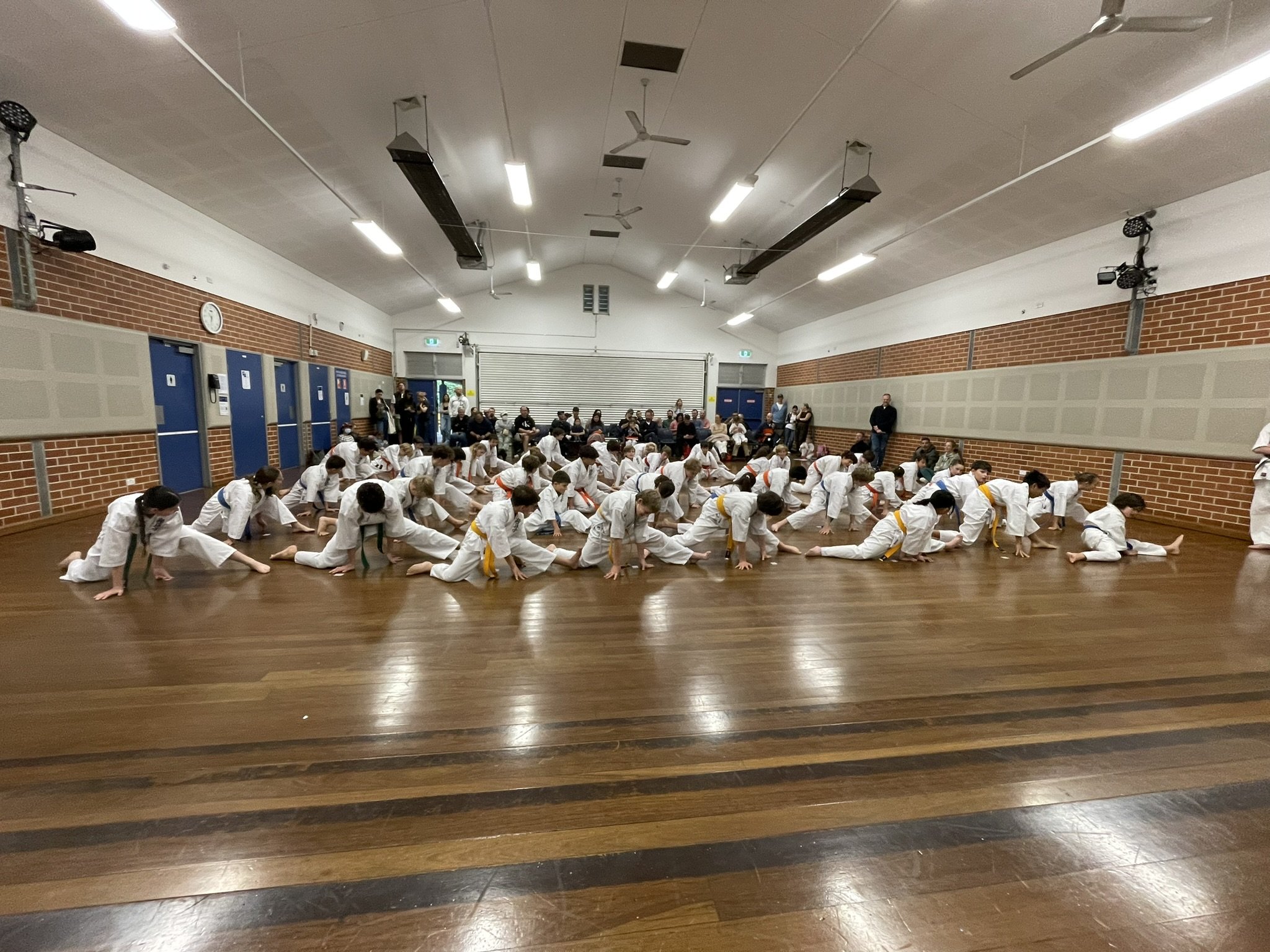 IMG_5369.JPEG