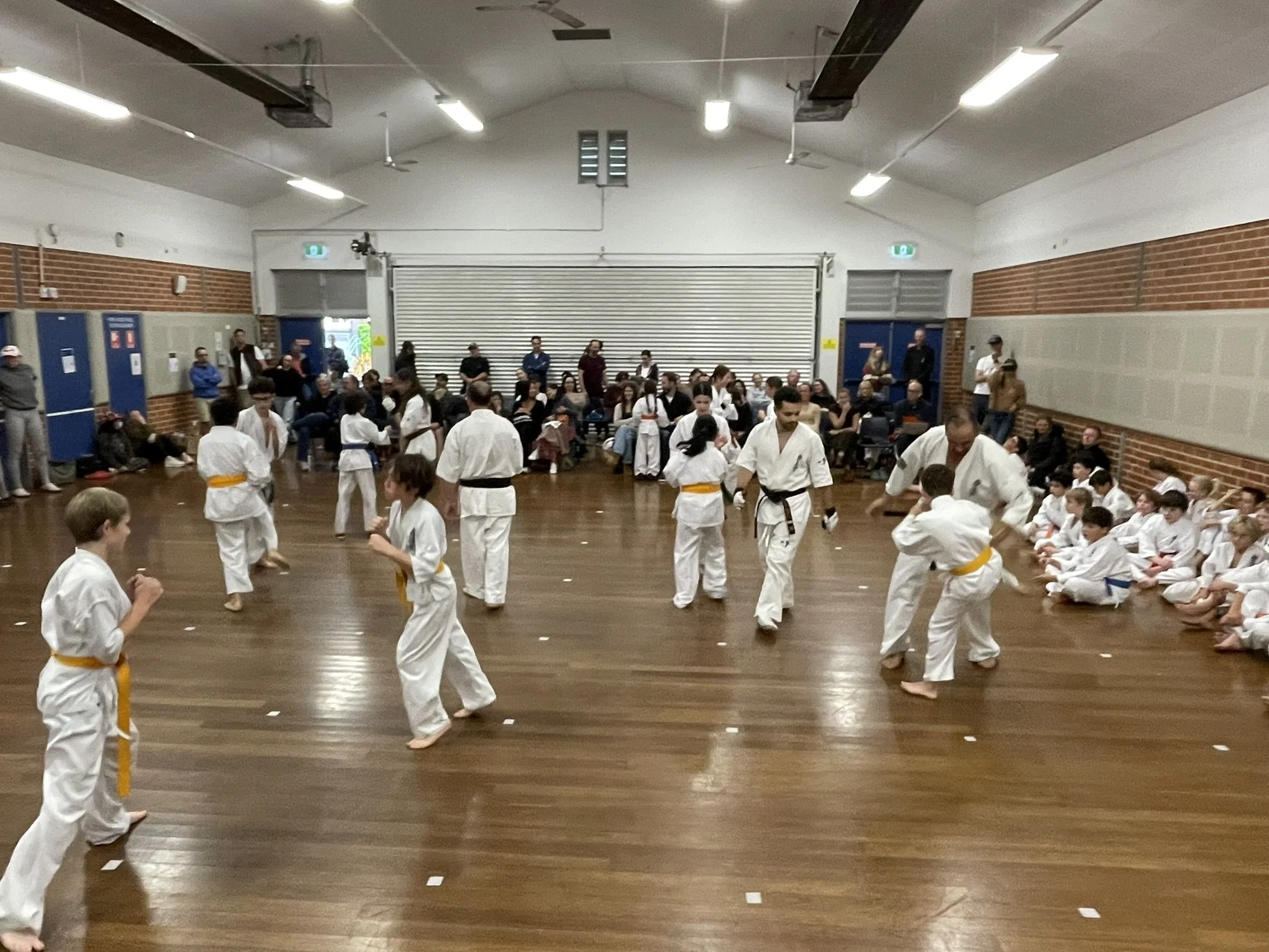 IMG_5439.JPEG