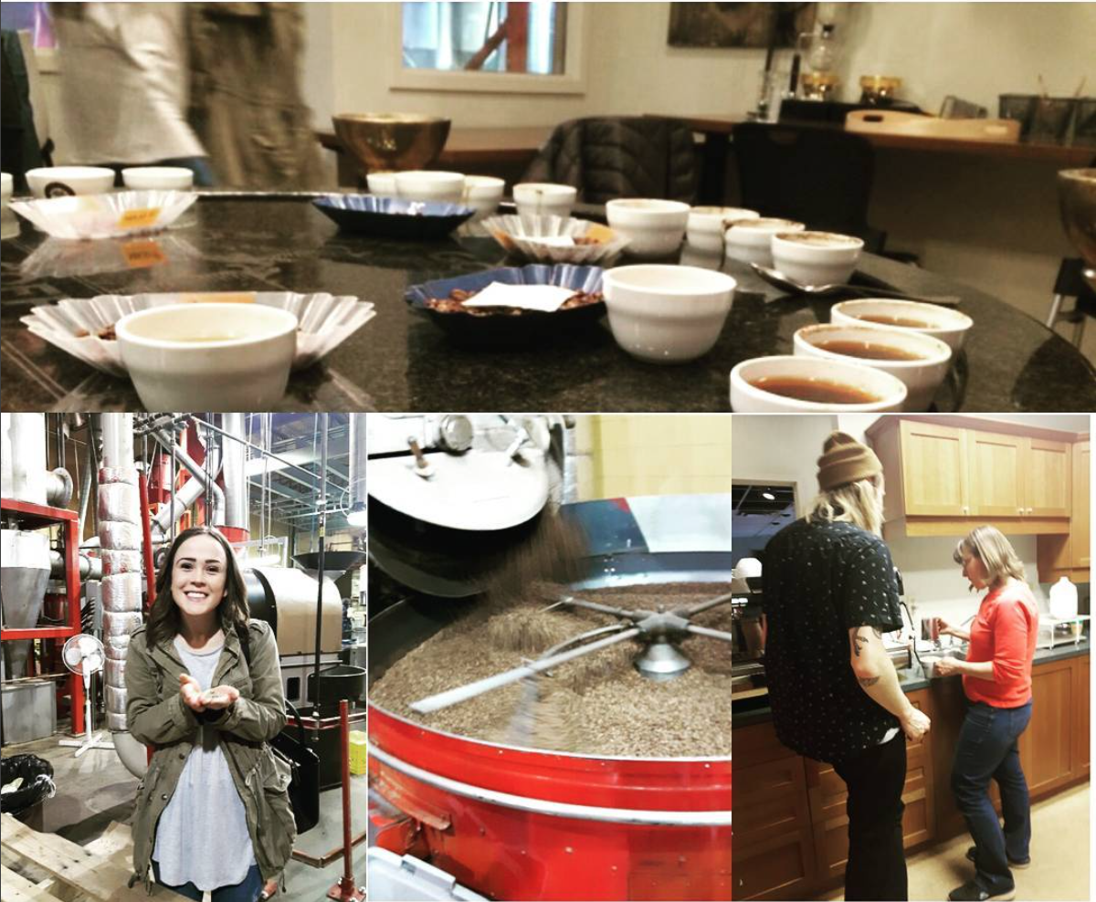 Our visit to Fratello, where we learned about their beans, brewing methods, and latte art!