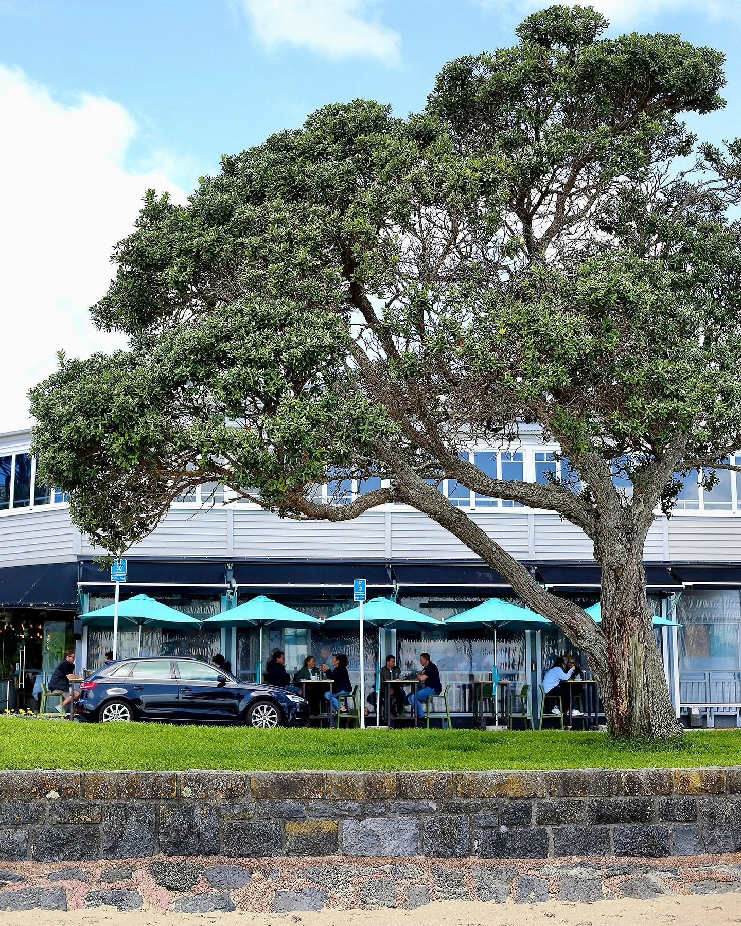 Ready! Let’s roll through lunch!