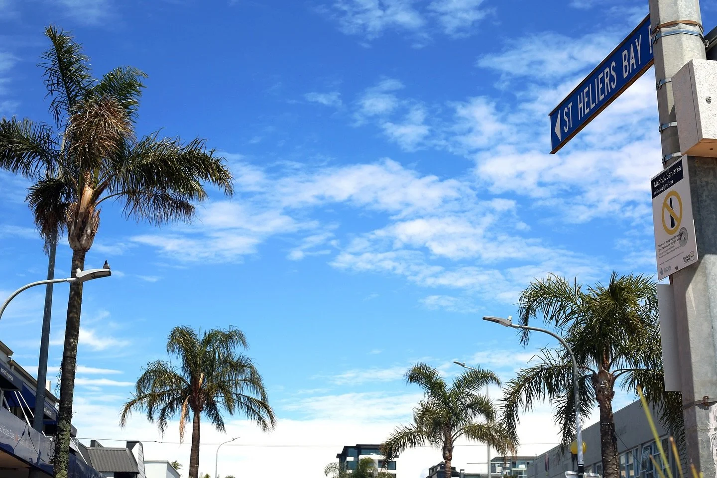 Gorgeous day in the bay 💙