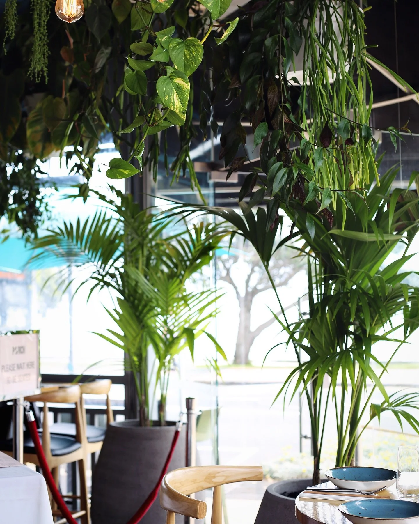 Join us for lunch at 12pm 🍃