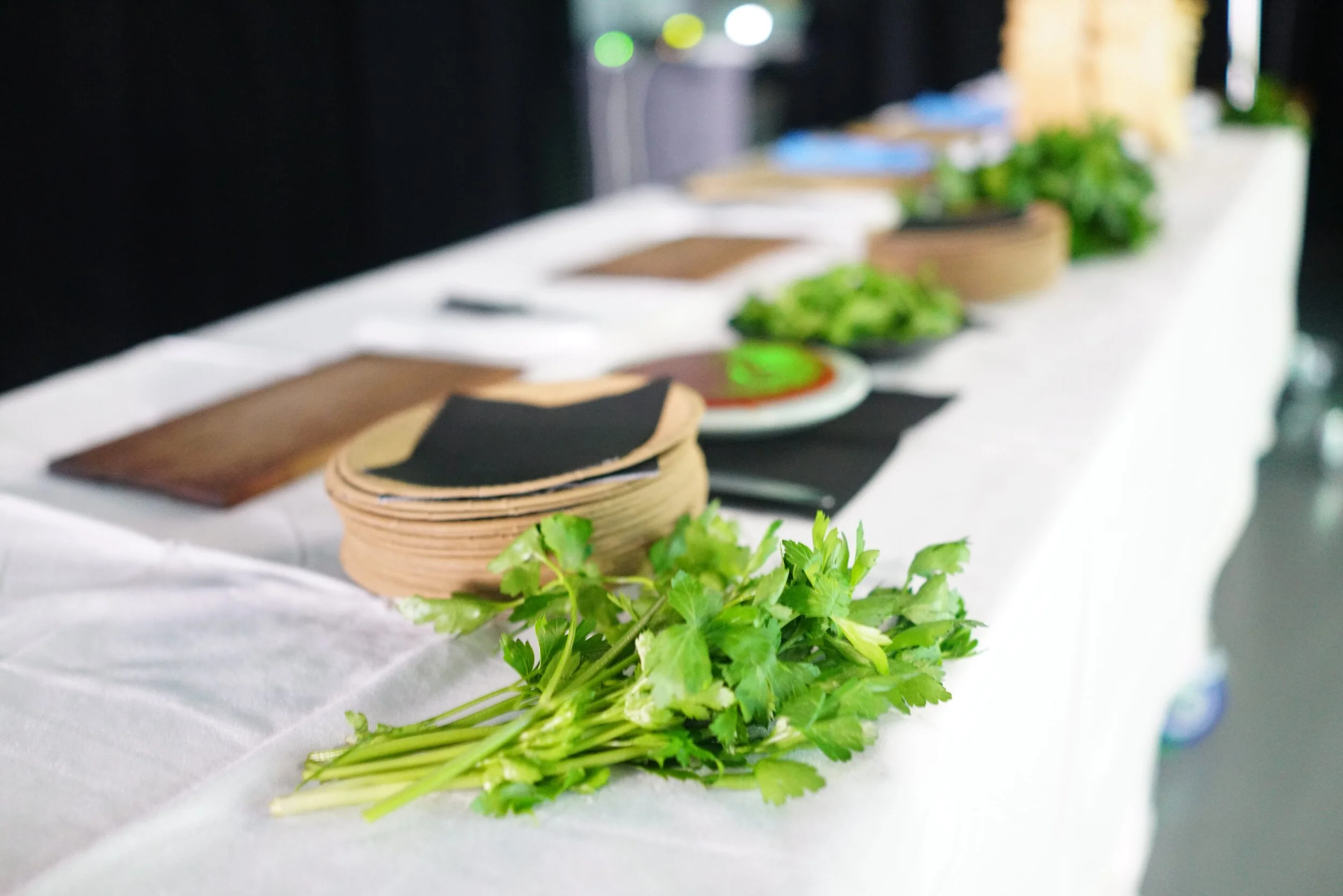 Copy of DSC00949-min.JPG