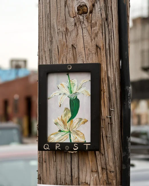 flowers_3_5.jpg