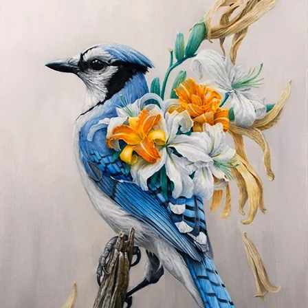 bluejay.jpg