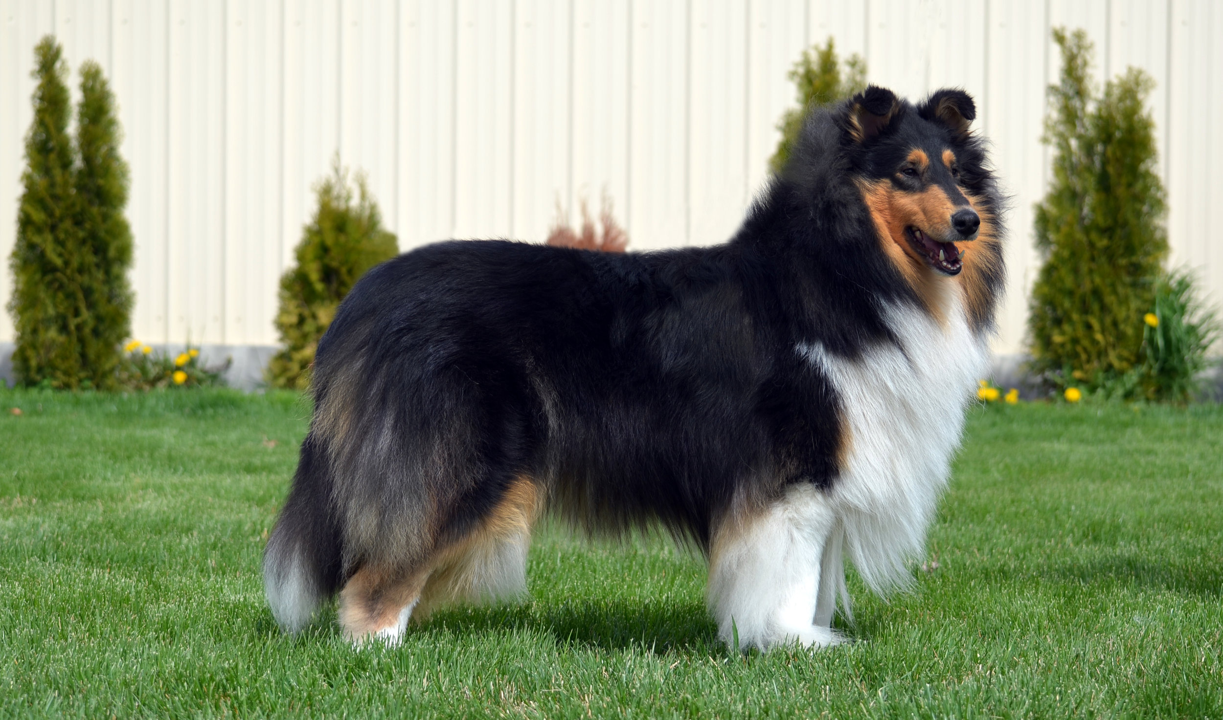 Shae DSC_0651.jpg