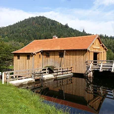 CELLES-SUR-PLAINEScierie de La Hallière