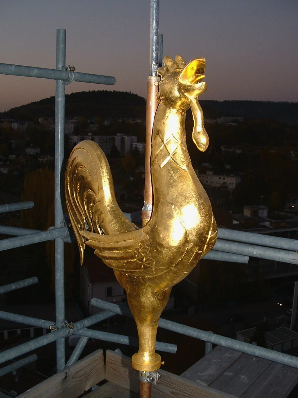SINT DIE coq doré.jpg