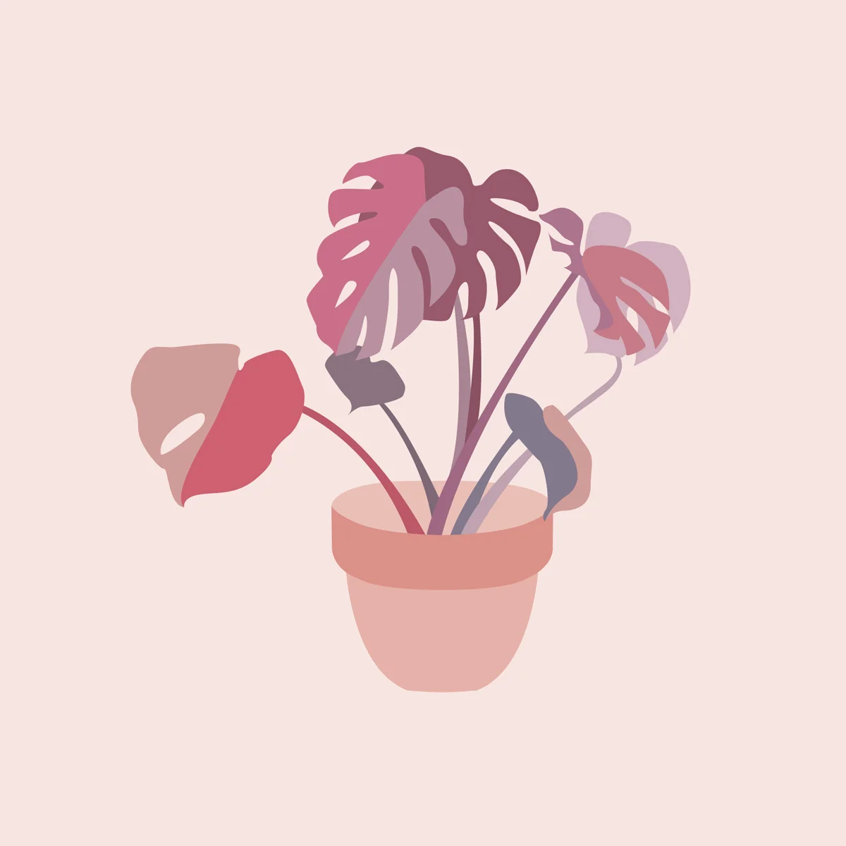 pink_monstera.jpg