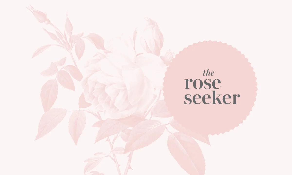 The_Rose_Seeker-2.jpg