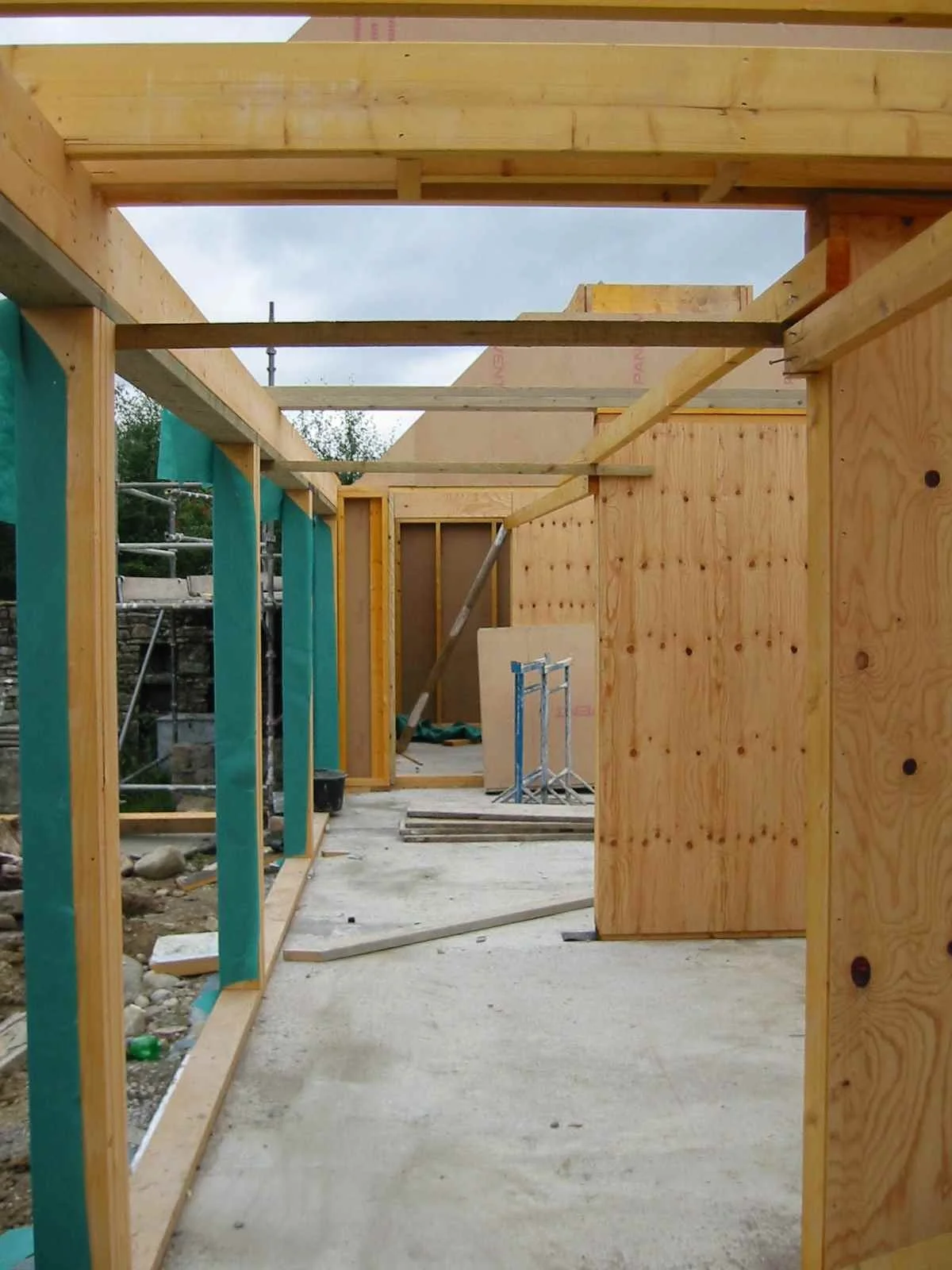 internal framing.jpg