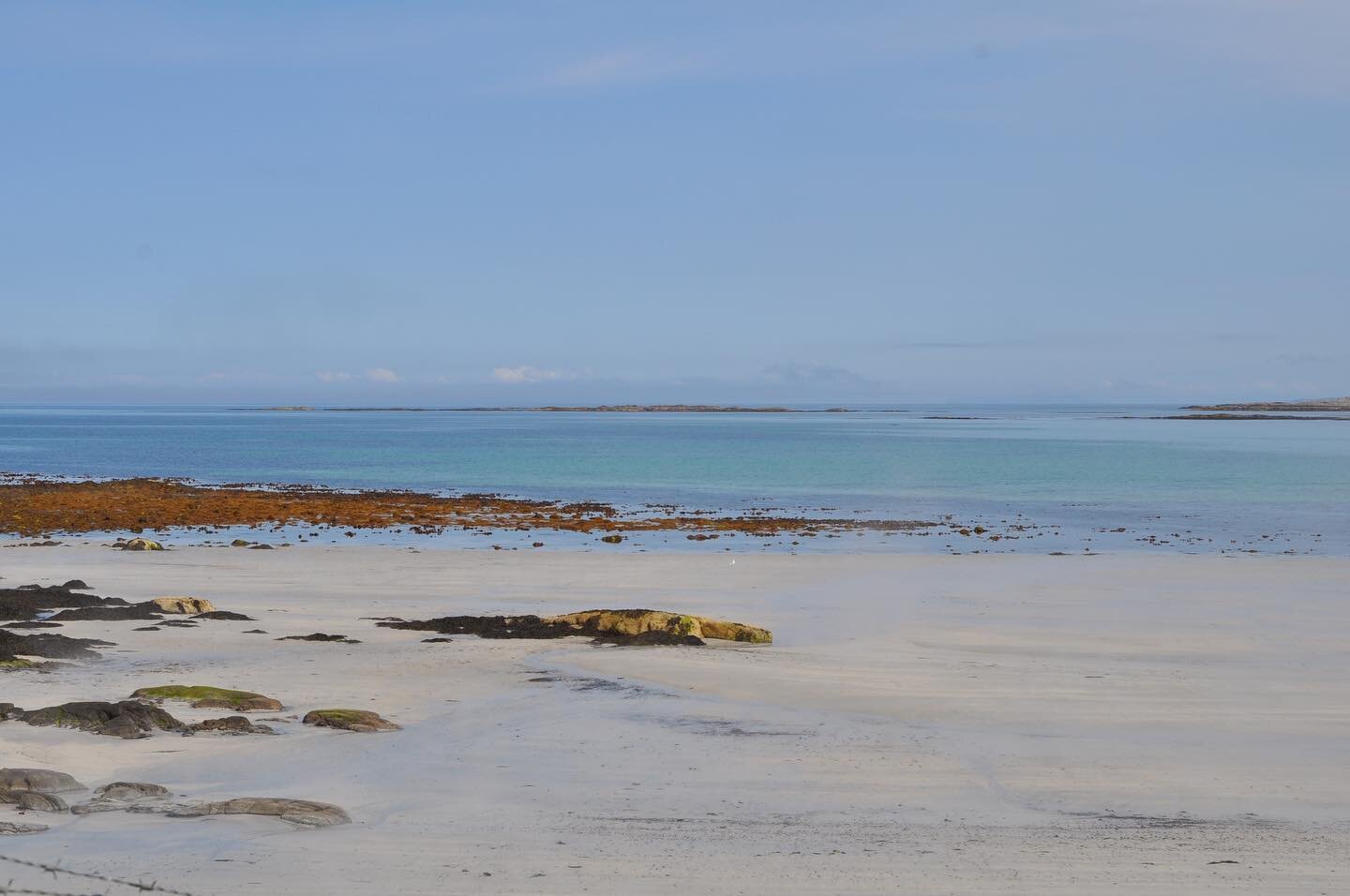 A lovely week away to the Isle of Tiree. Beautiful colours amid the mist and sun. 

#coast2coastarchitects #architecture #landscape #landscapephotography #tiree #beach #mist #seaweed #scottisharchitecture #architektur #travel #architecturephotography