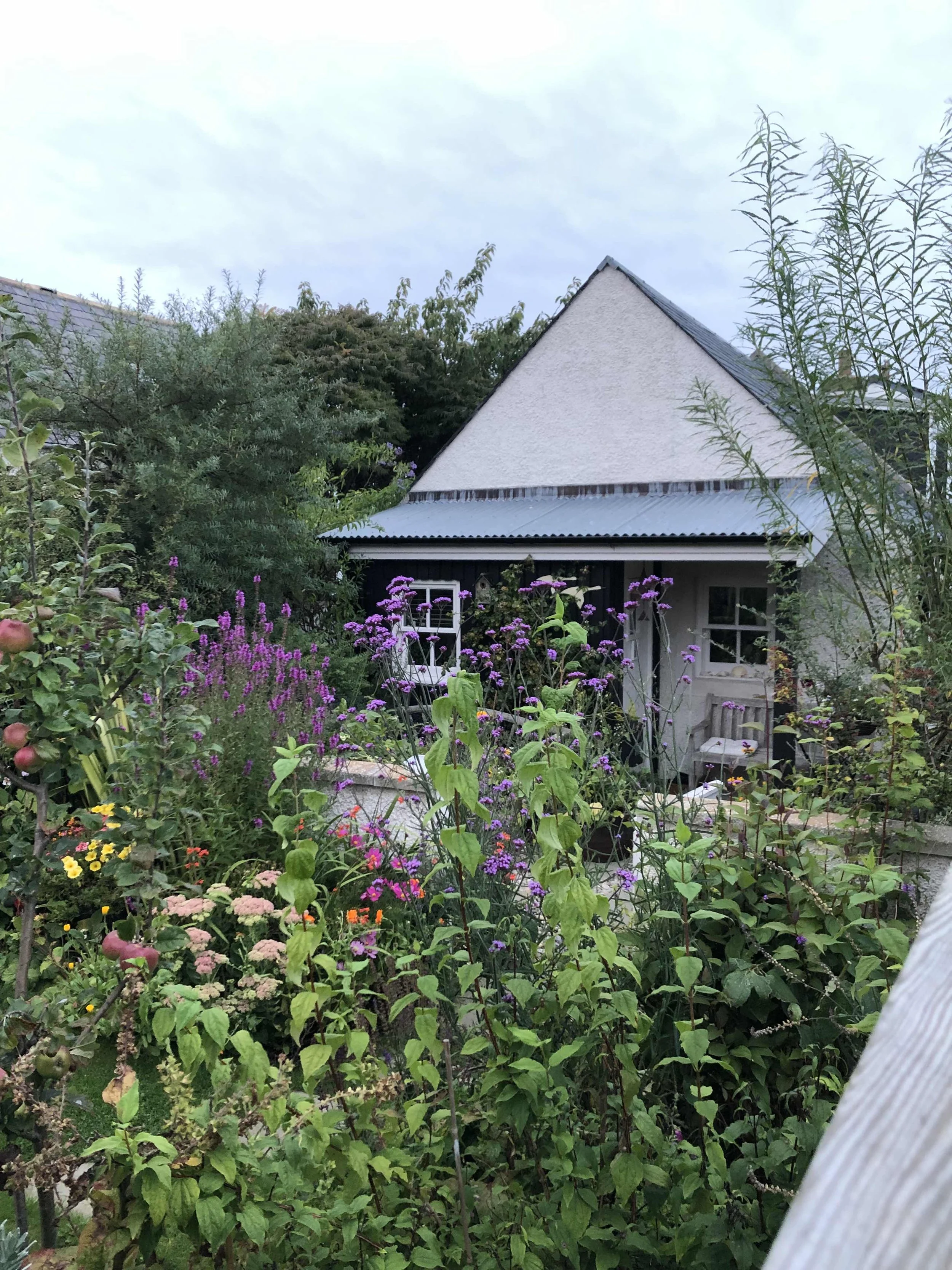 64 Findhorn - A new Cottage Garden
