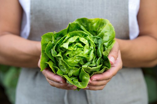 UrbanWellness_Nutrition.jpeg