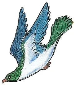 Kererū