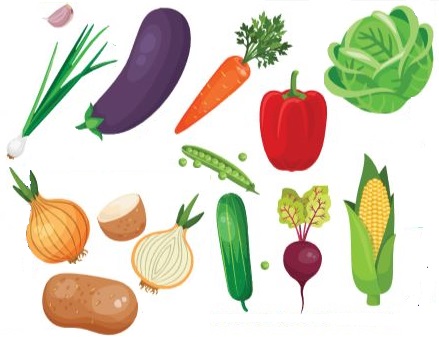 Vegetable Garden.JPG