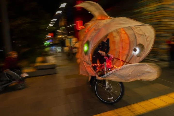 IMM Snapper  float 2.66MB photography John McDermott DSC03273 (Medium).jpg