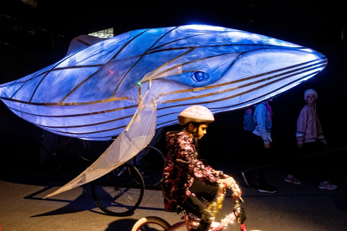 IMM2019 7.47MB photography Stephen Langdon DSCF1141 (Medium).JPG