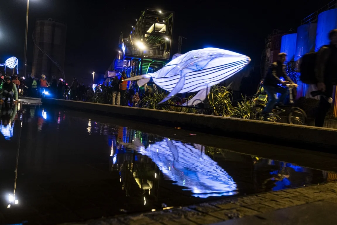 IMM2019 6.75MB photography Stephen Langdon DSCF0346 (Medium).JPG